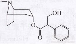 颠茄生物碱