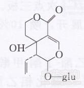 獐牙菜裂环烯醚萜苷