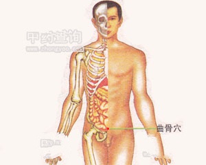 曲骨穴位