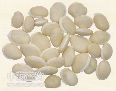 白扁豆药材