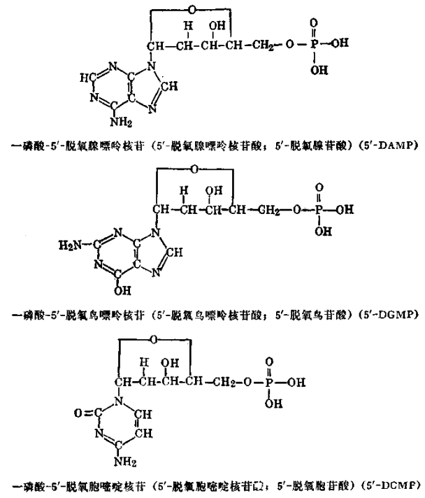 脱氧核苷酸钠注射液 第 1 张