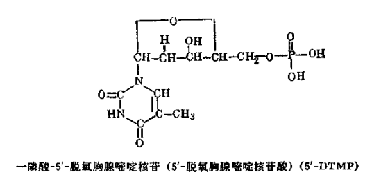 脱氧核苷酸钠注射液 第 2 张