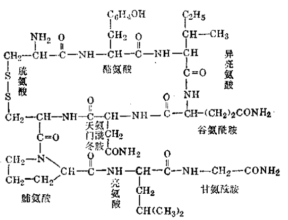 缩宫素(催产素)注射液