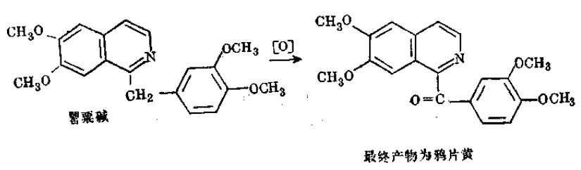 盐酸罂粟碱注射液 第 2 张