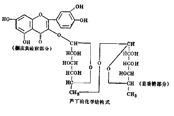 芦丁注射液 第 1 张