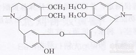 北豆根生物碱