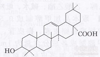 刺五加皂苷