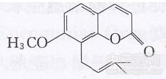 独活香豆素