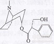 华山参生物碱