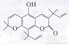 黄皮香豆素