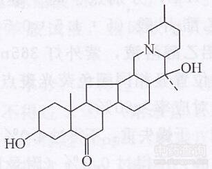 伊贝母生物碱