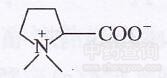 益母草生物碱