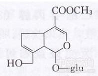 栀子环烯醚萜苷