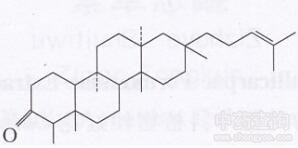 紫菀萜苷