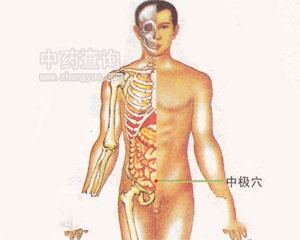 中极穴位