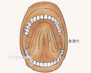 金津穴位