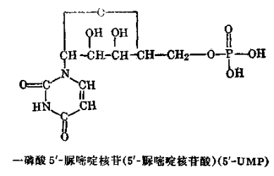 5’-核苷酸钠注射液 第 2 张