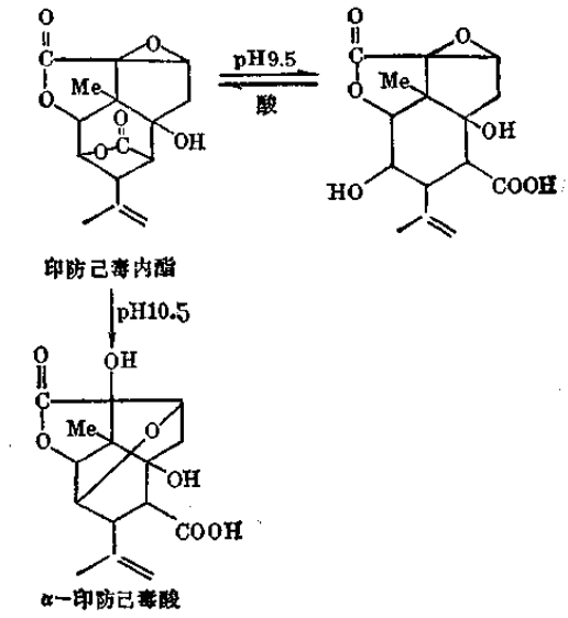 印防己毒素注射液